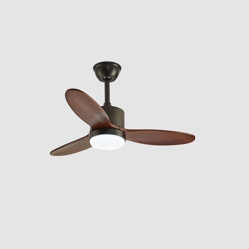 Calisse 42″ Ceiling Fan Light