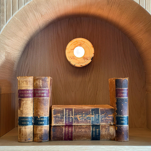 Viola Disc Wall Lamp