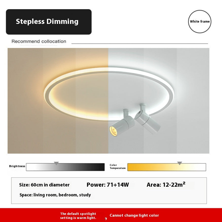DuoTone Modern Ring Ceiling Light