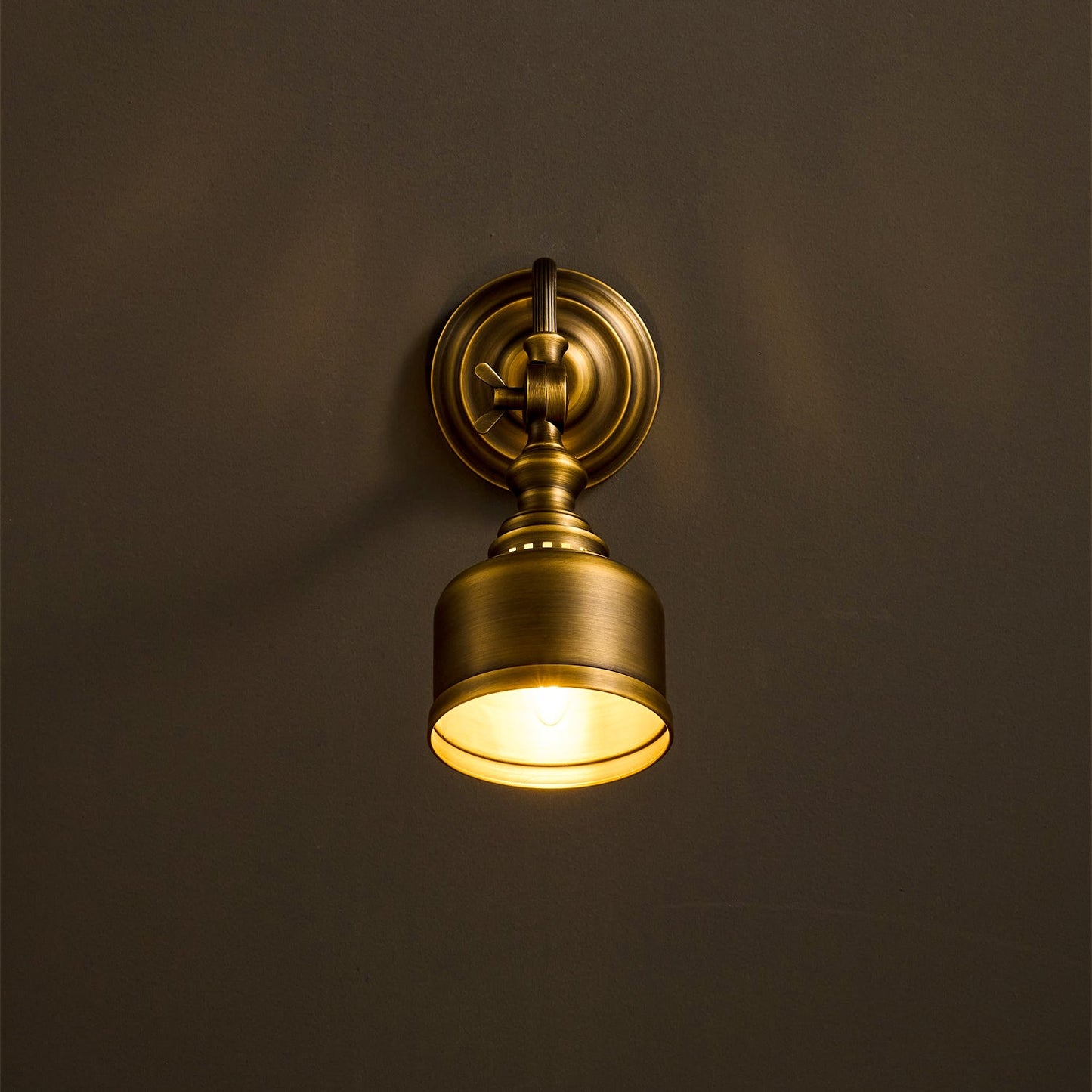 Addison Gooseneck Wall Lamp