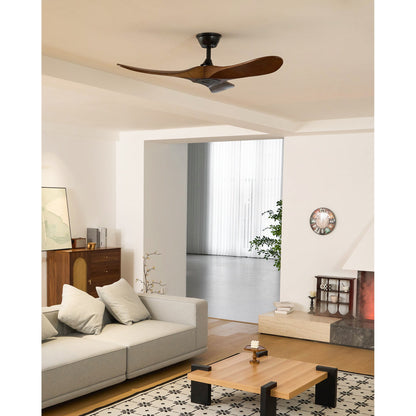 Aero Breeze Ceiling Fan