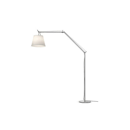 Artemide Floor Lamp