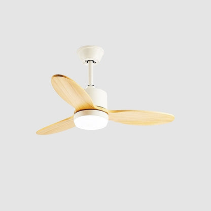 Calisse 42″ Ceiling Fan Light