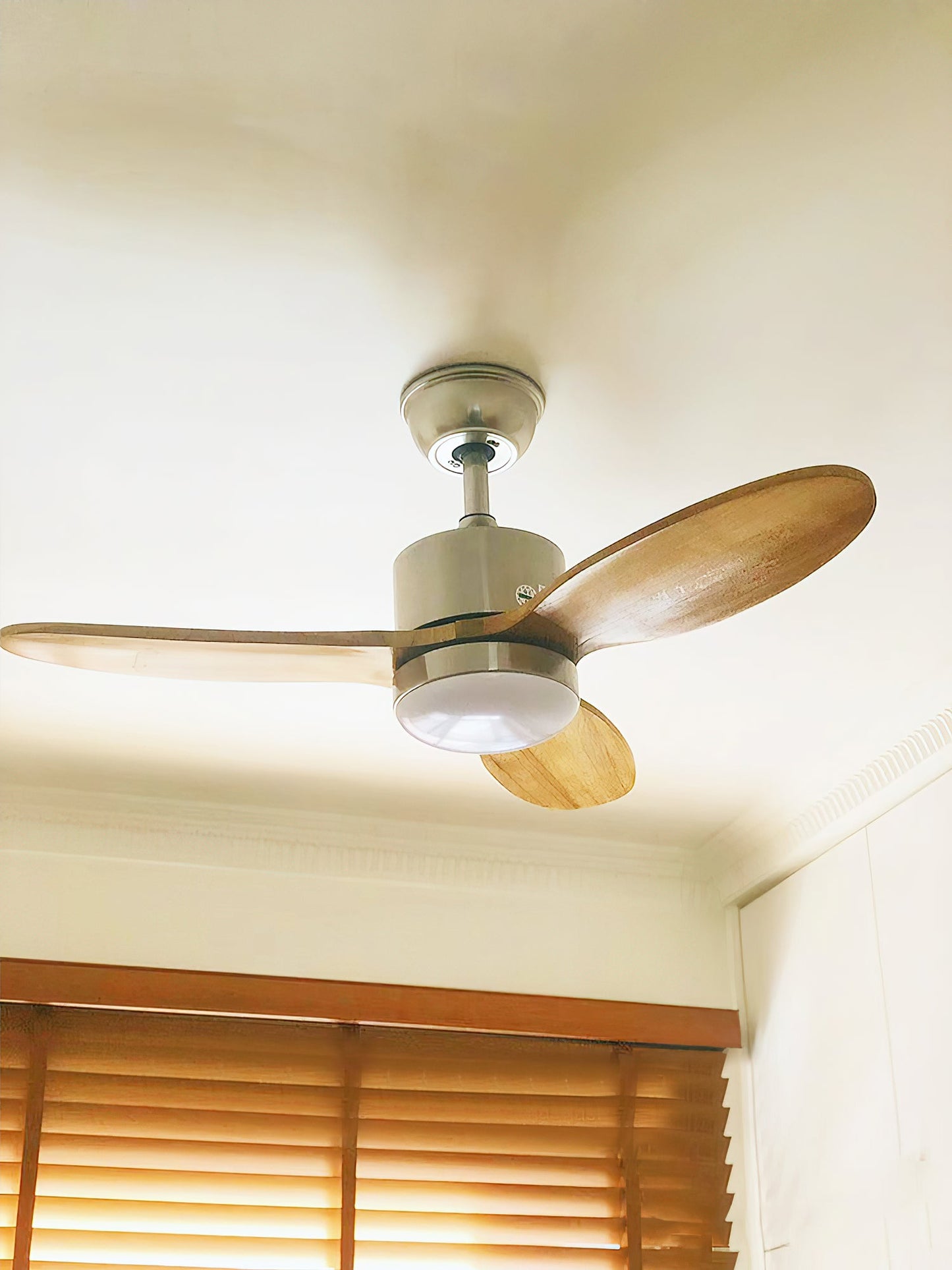 Calisse 42″ Ceiling Fan Light