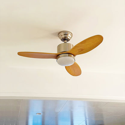 Calisse 42″ Ceiling Fan Light