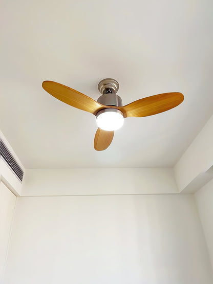 Calisse 42″ Ceiling Fan Light