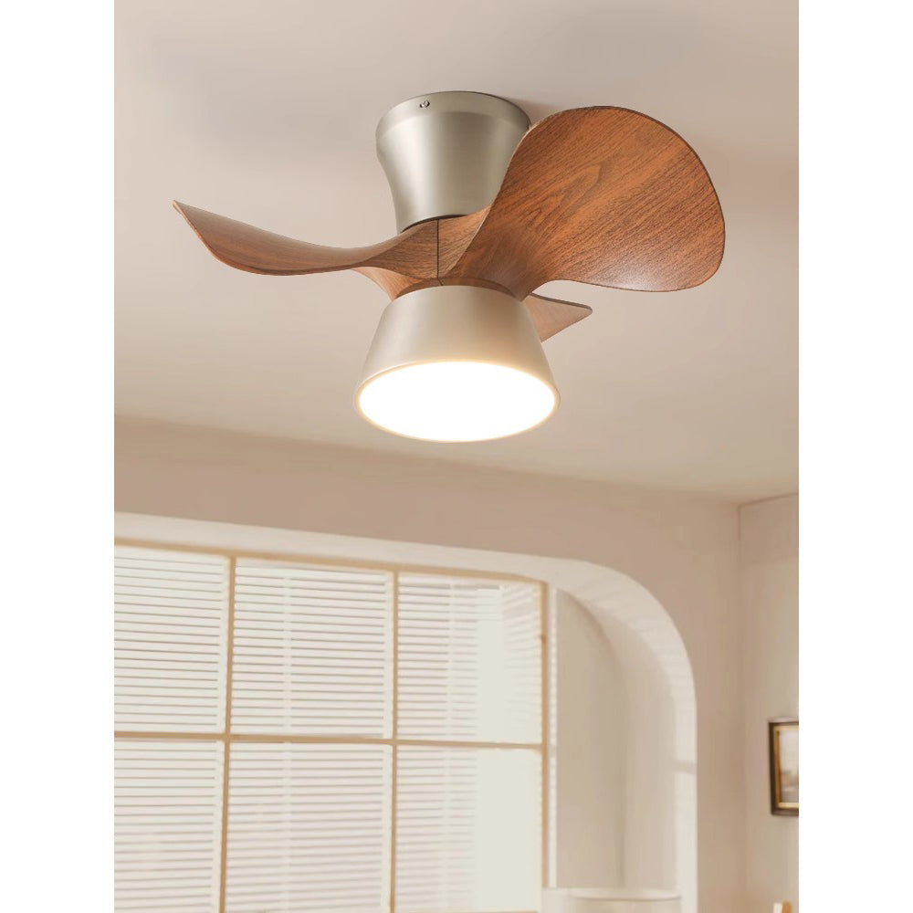 Corabelle Ceiling Fan Light