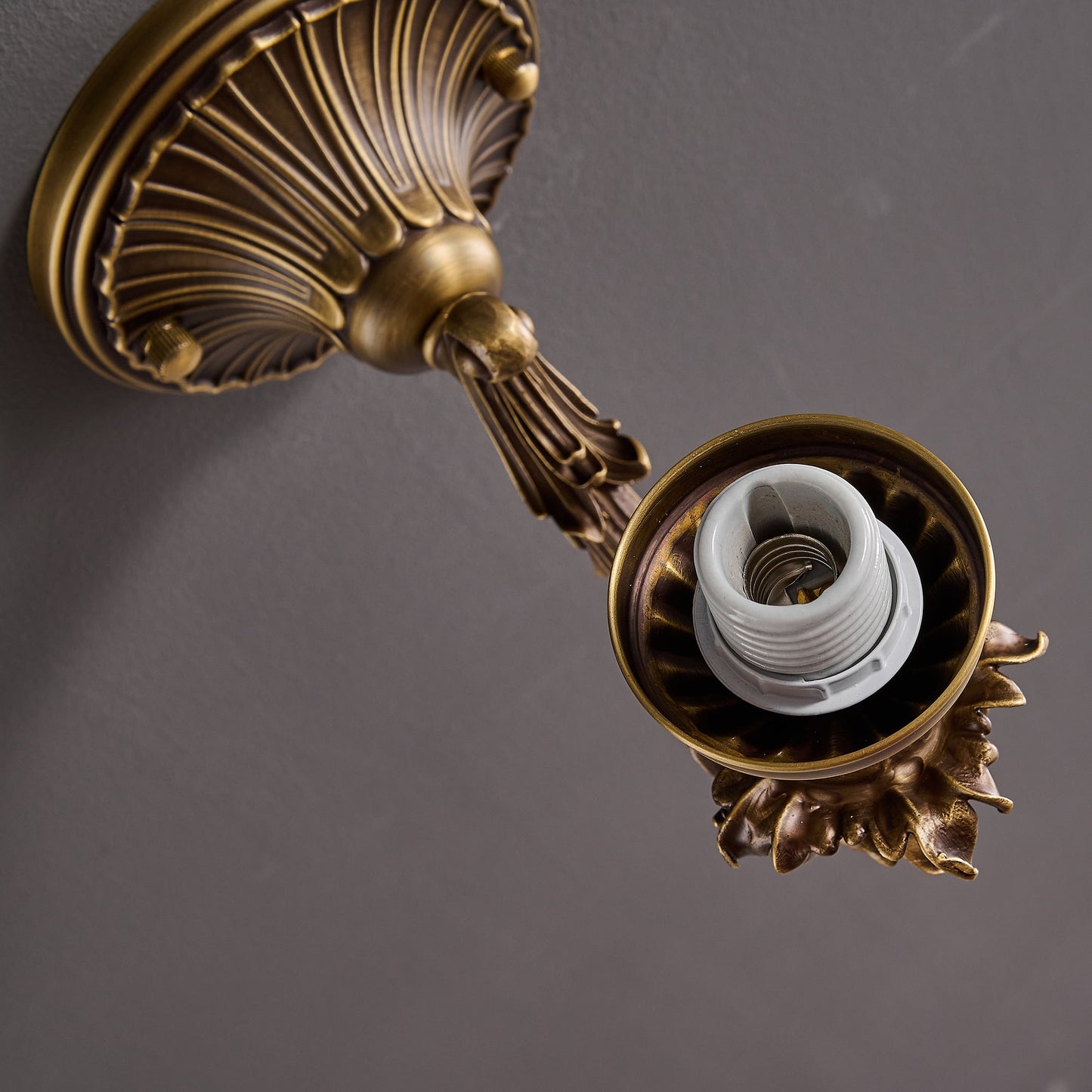 Darwin Wall Lamp