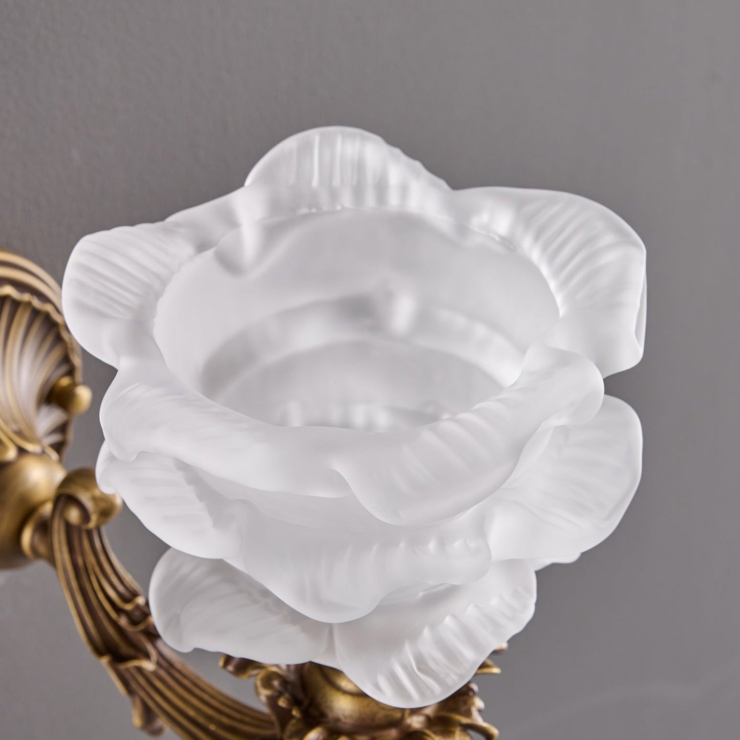 Darwin Wall Lamp