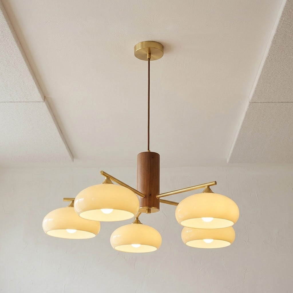 Elliptical Persimmon Chandelier