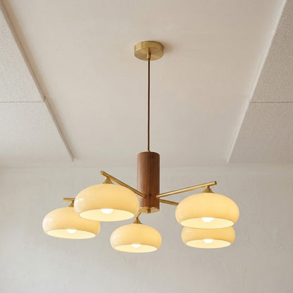 Elliptical Persimmon Chandelier