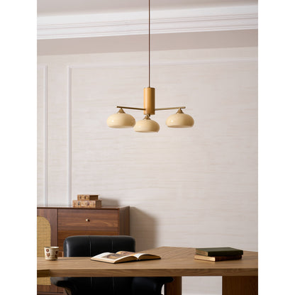 Elliptical Persimmon Chandelier