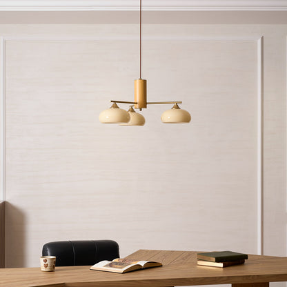 Elliptical Persimmon Chandelier