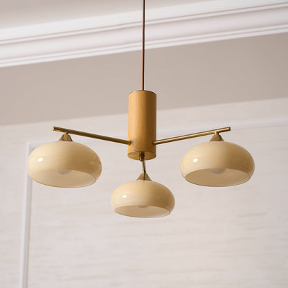 Elliptical Persimmon Chandelier