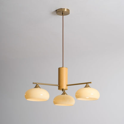 Elliptical Persimmon Chandelier