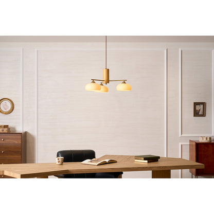 Elliptical Persimmon Chandelier