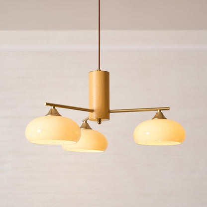 Elliptical Persimmon Chandelier