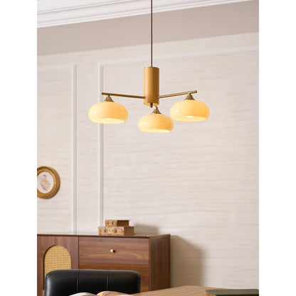 Elliptical Persimmon Chandelier