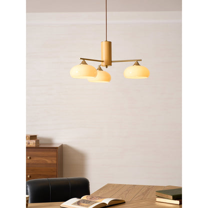 Elliptical Persimmon Chandelier