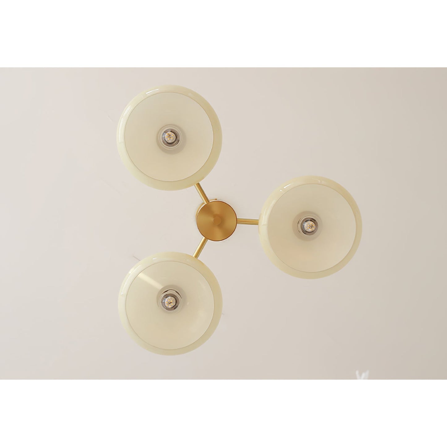 Elliptical Persimmon Chandelier