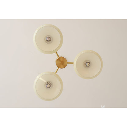 Elliptical Persimmon Chandelier