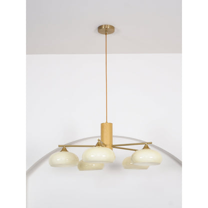 Elliptical Persimmon Chandelier
