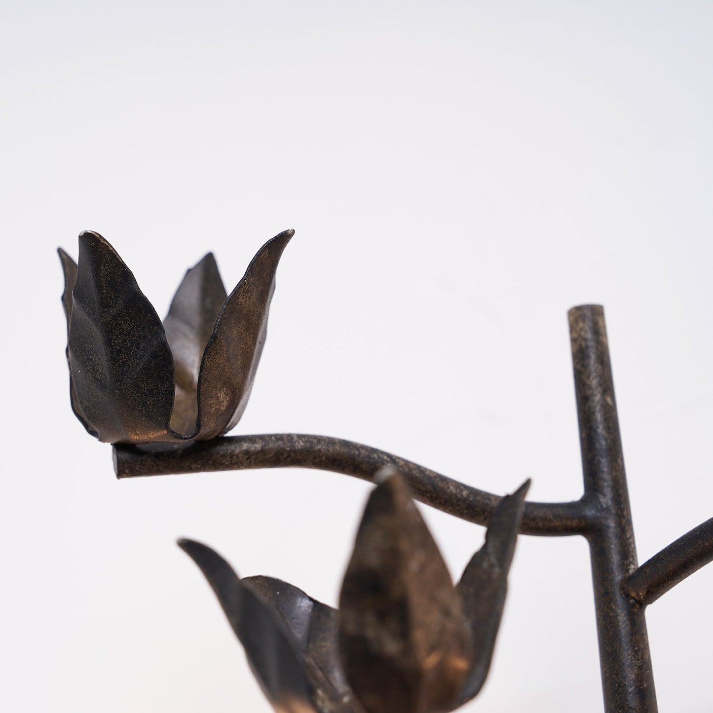 Ferroarte Branch Wall Lamp