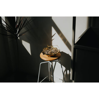 Fremantle Brass Bunker Sconce