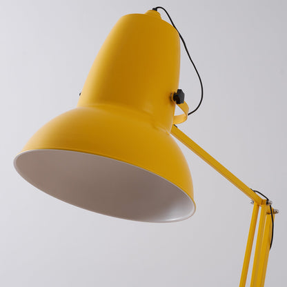Giant Floor Lamp