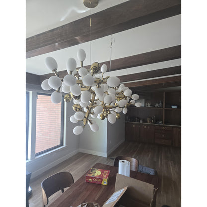 Grape Bunch Chandelier