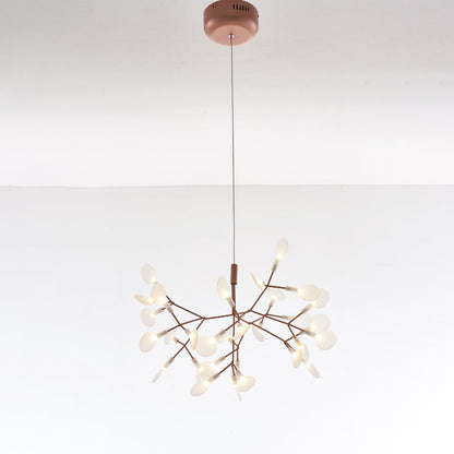 Heracleum Chandelier