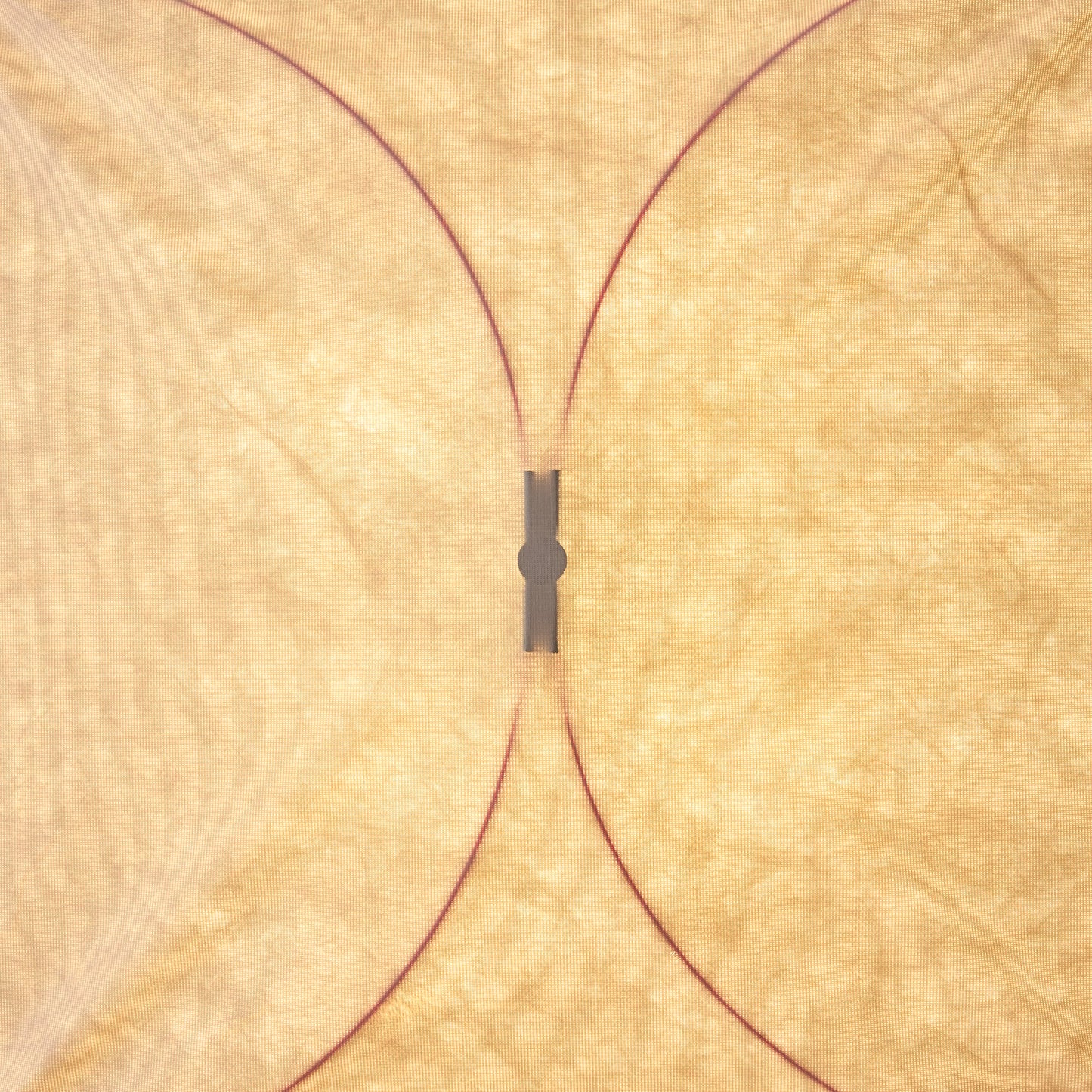 DuPont Paper Plug-in Wall Light