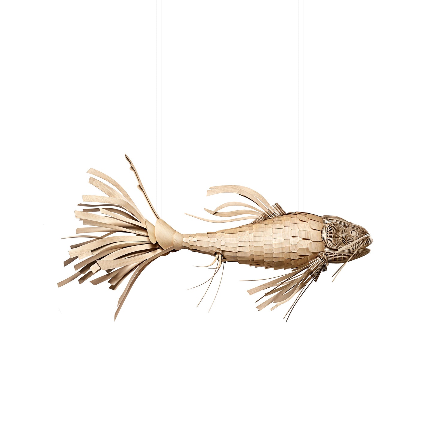 Koi Chandelier