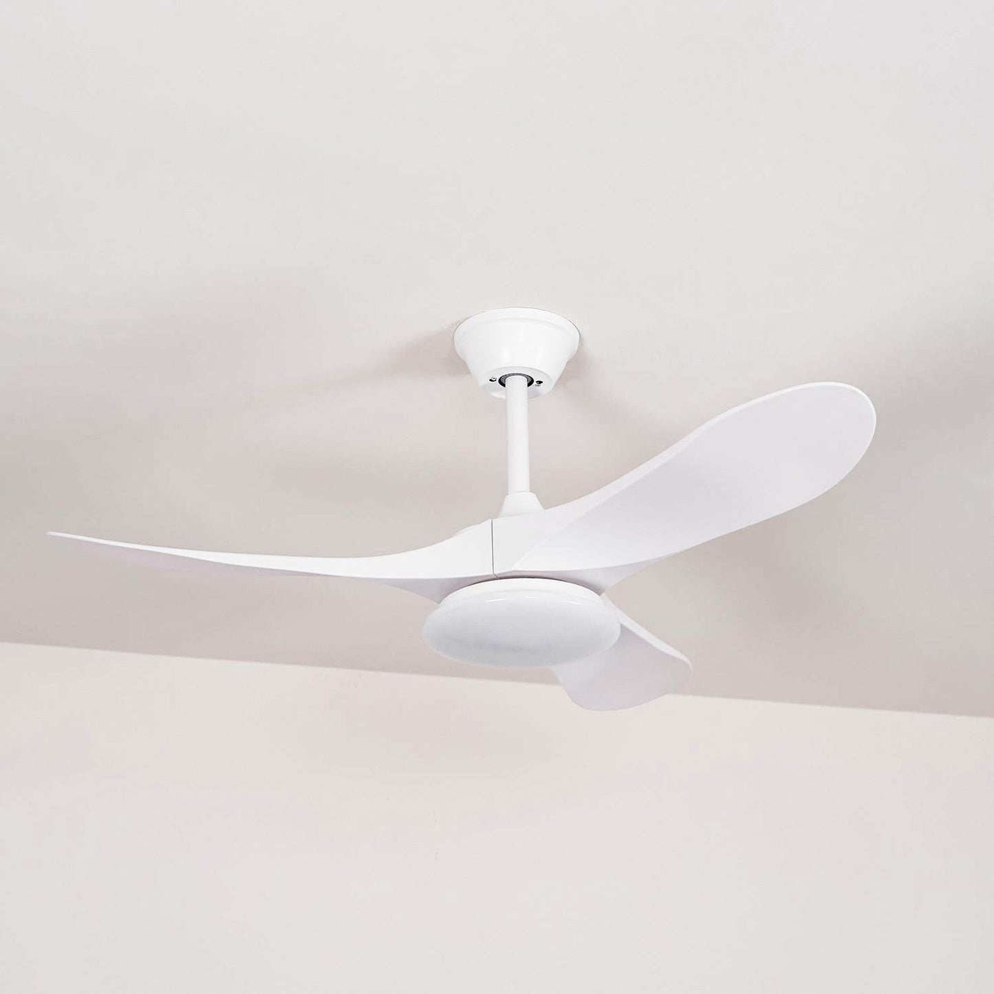 Maverick Ceiling Fan Light