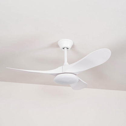 Maverick Ceiling Fan Light