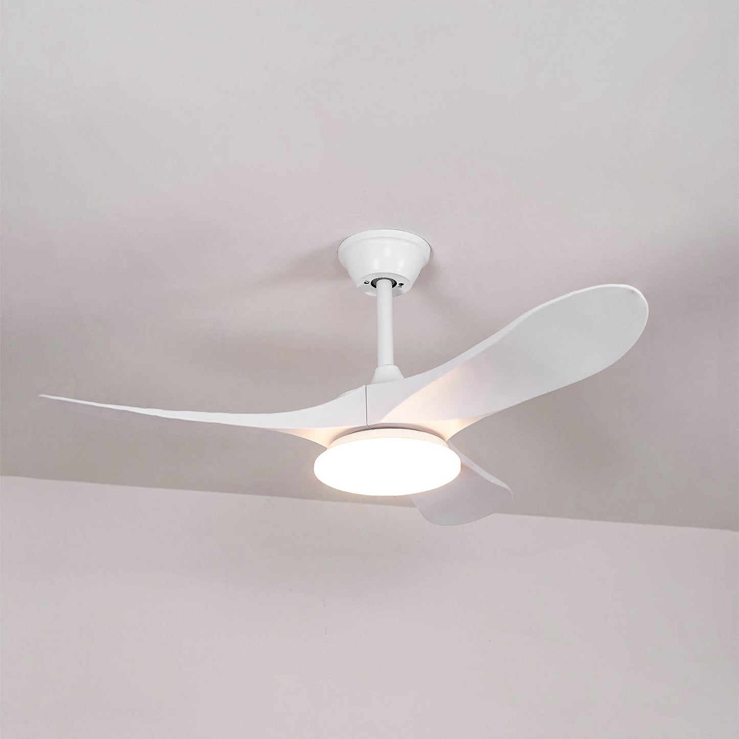 Maverick Ceiling Fan Light