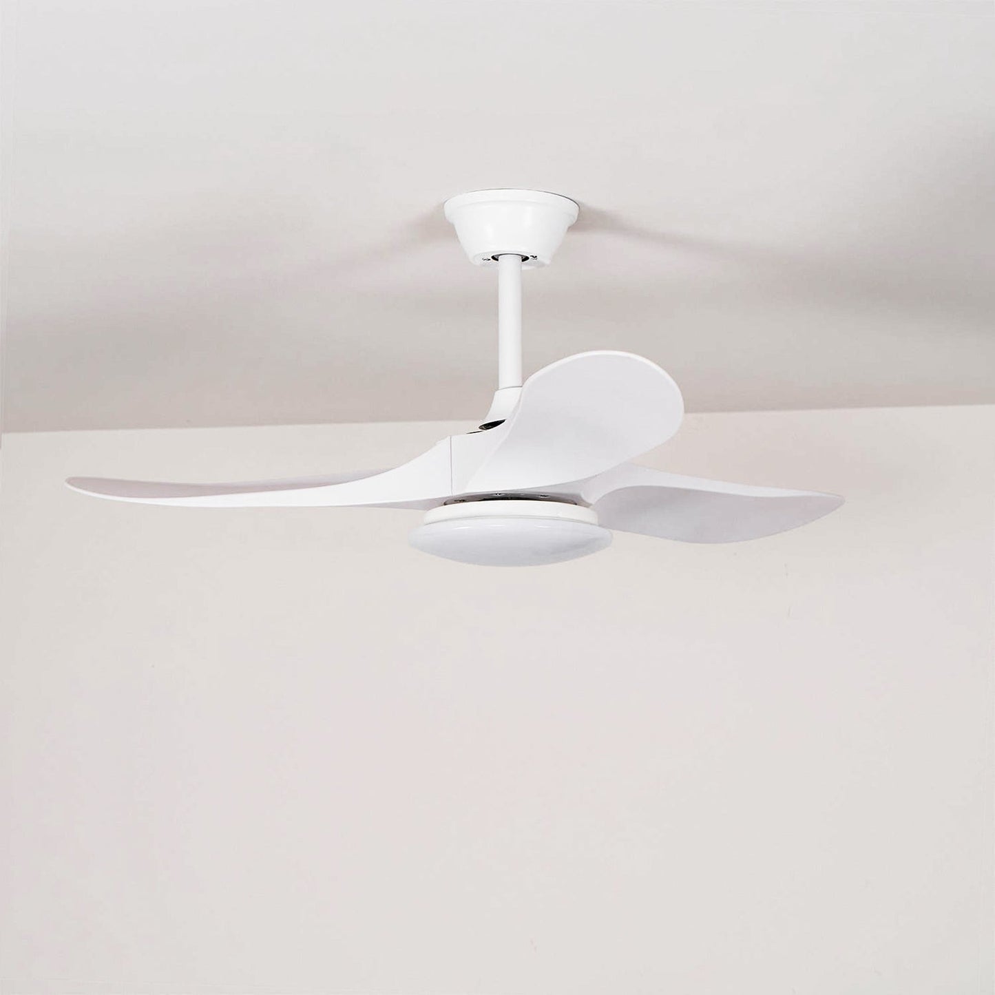 Maverick Ceiling Fan Light