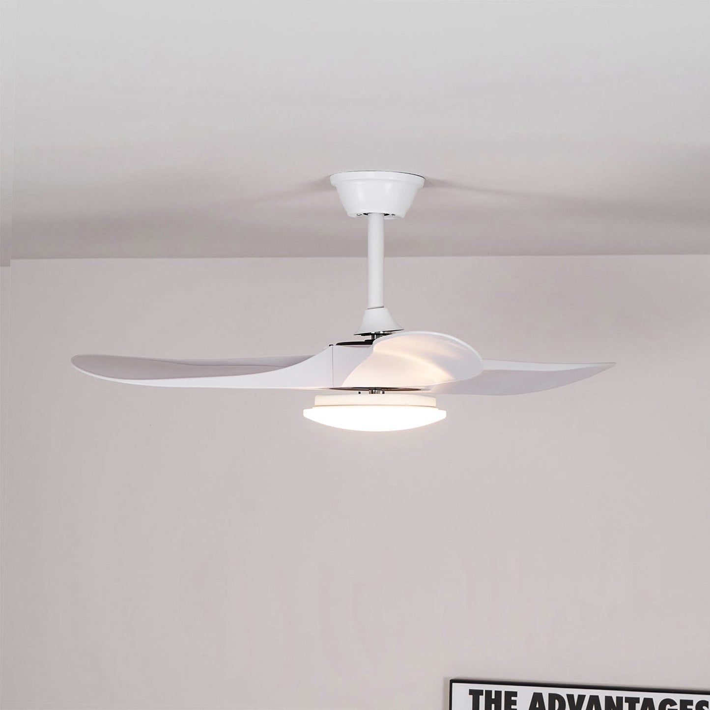 Maverick Ceiling Fan Light