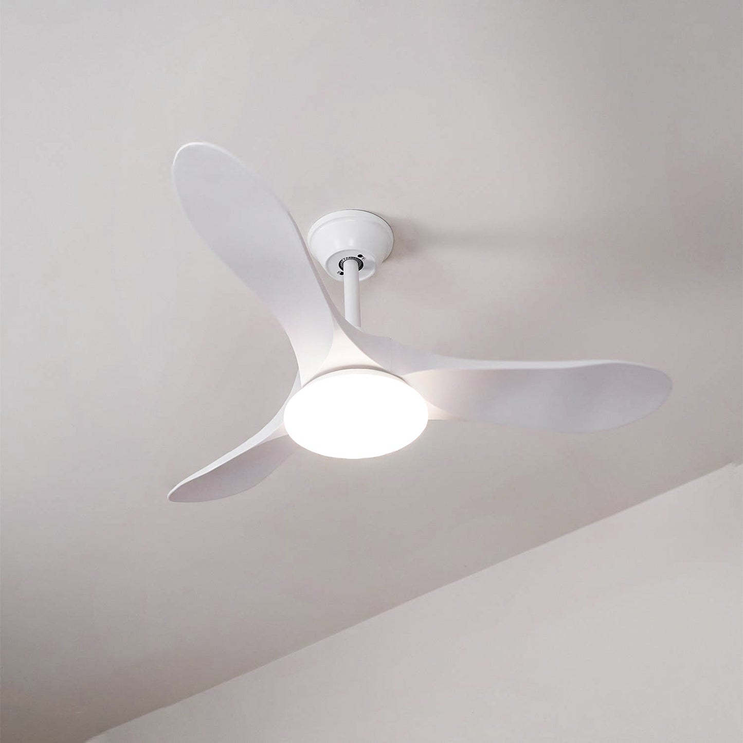 Maverick Ceiling Fan Light