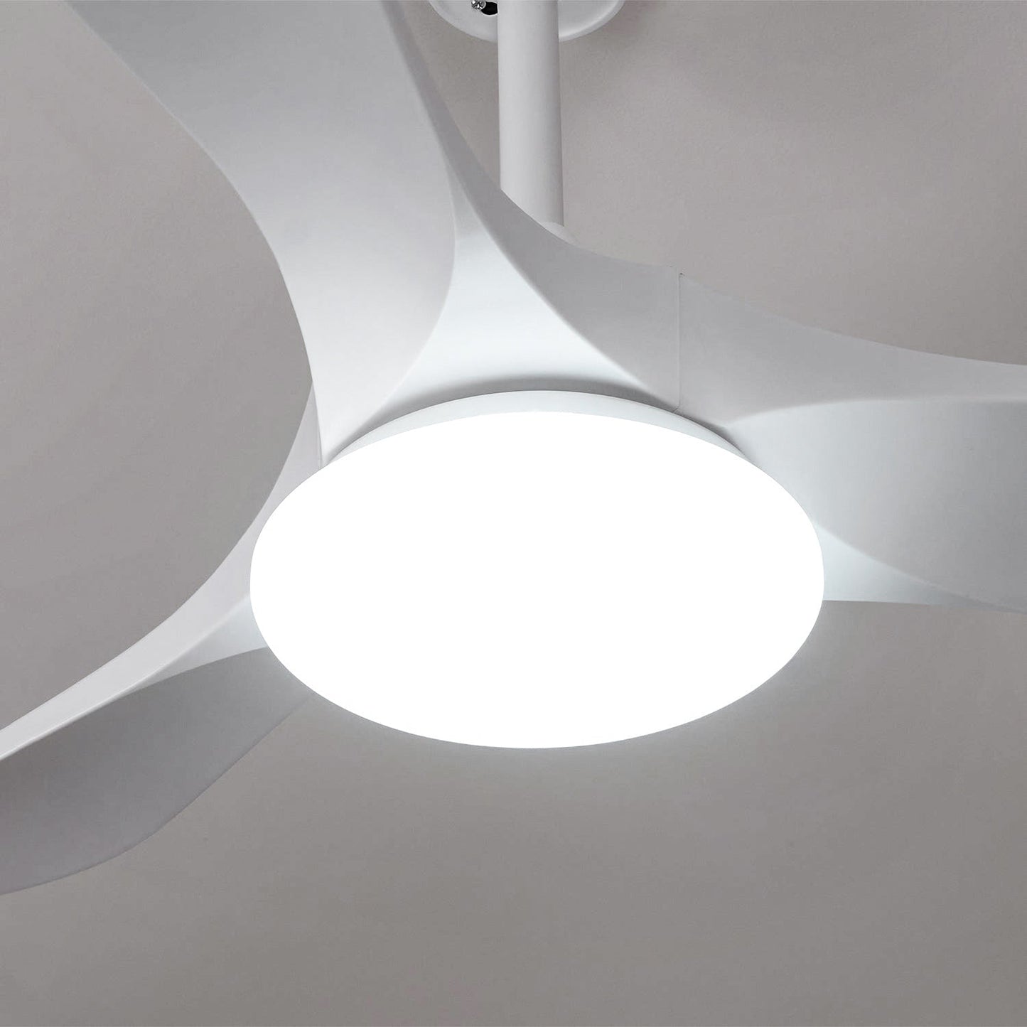 Maverick Ceiling Fan Light