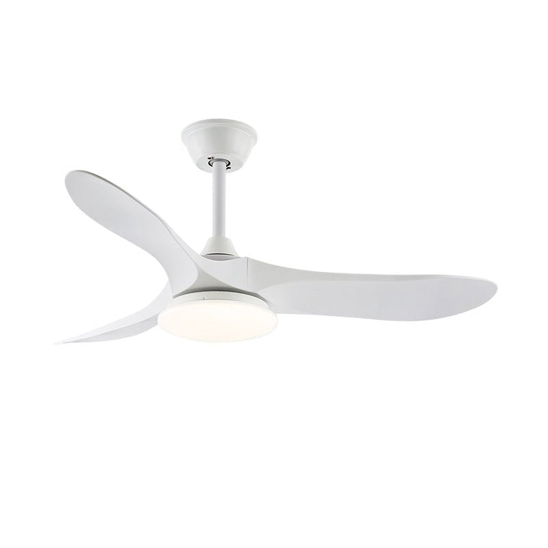Maverick Ceiling Fan Light