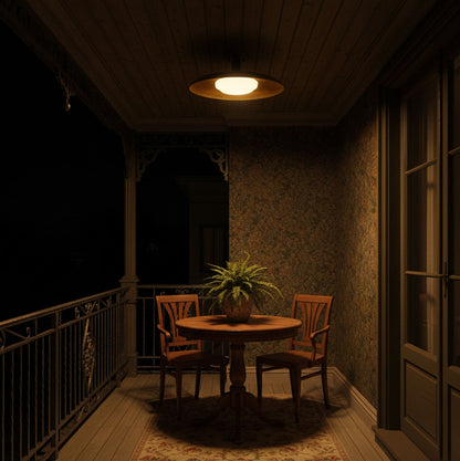 Pot-Lid Style Flat-Panel Ceiling Light