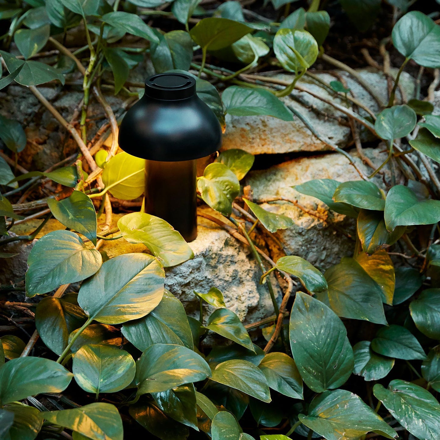 PC Portable Table Lamp (Built-in Battery)