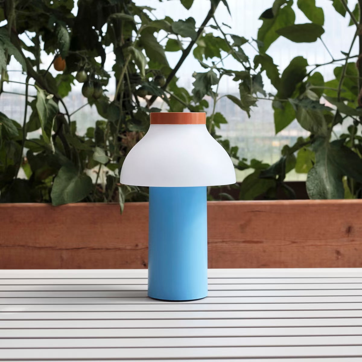 PC Portable Table Lamp (Built-in Battery)
