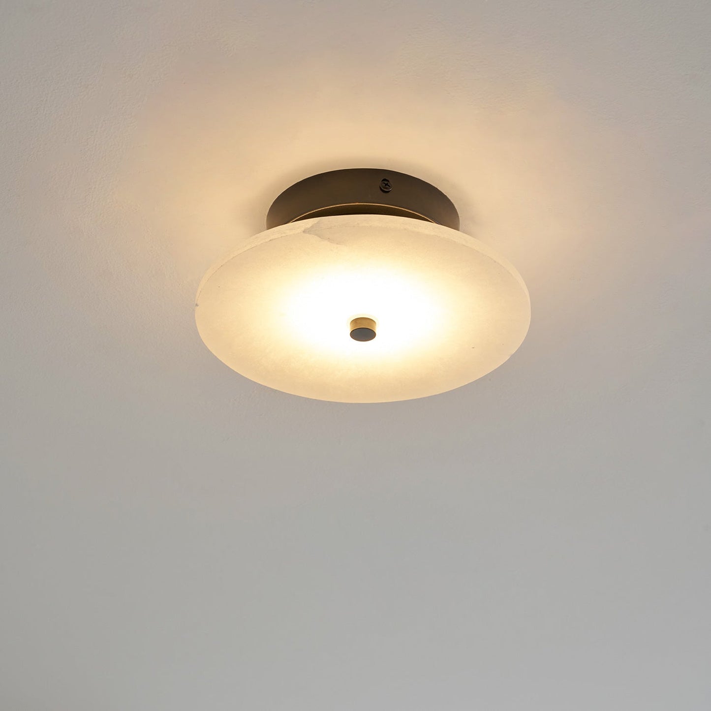 Ankeny Alabaster Ceiling Lamp