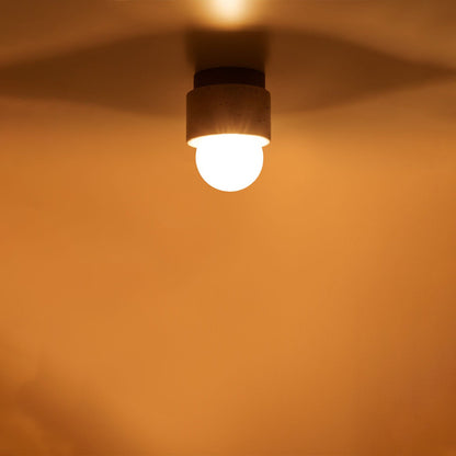 Davise Flush Mount