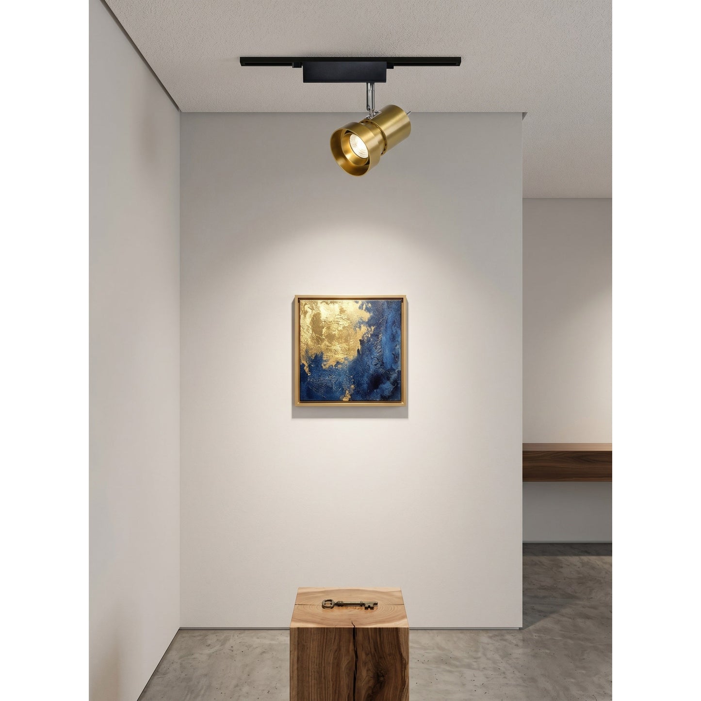VidaLite Track Light