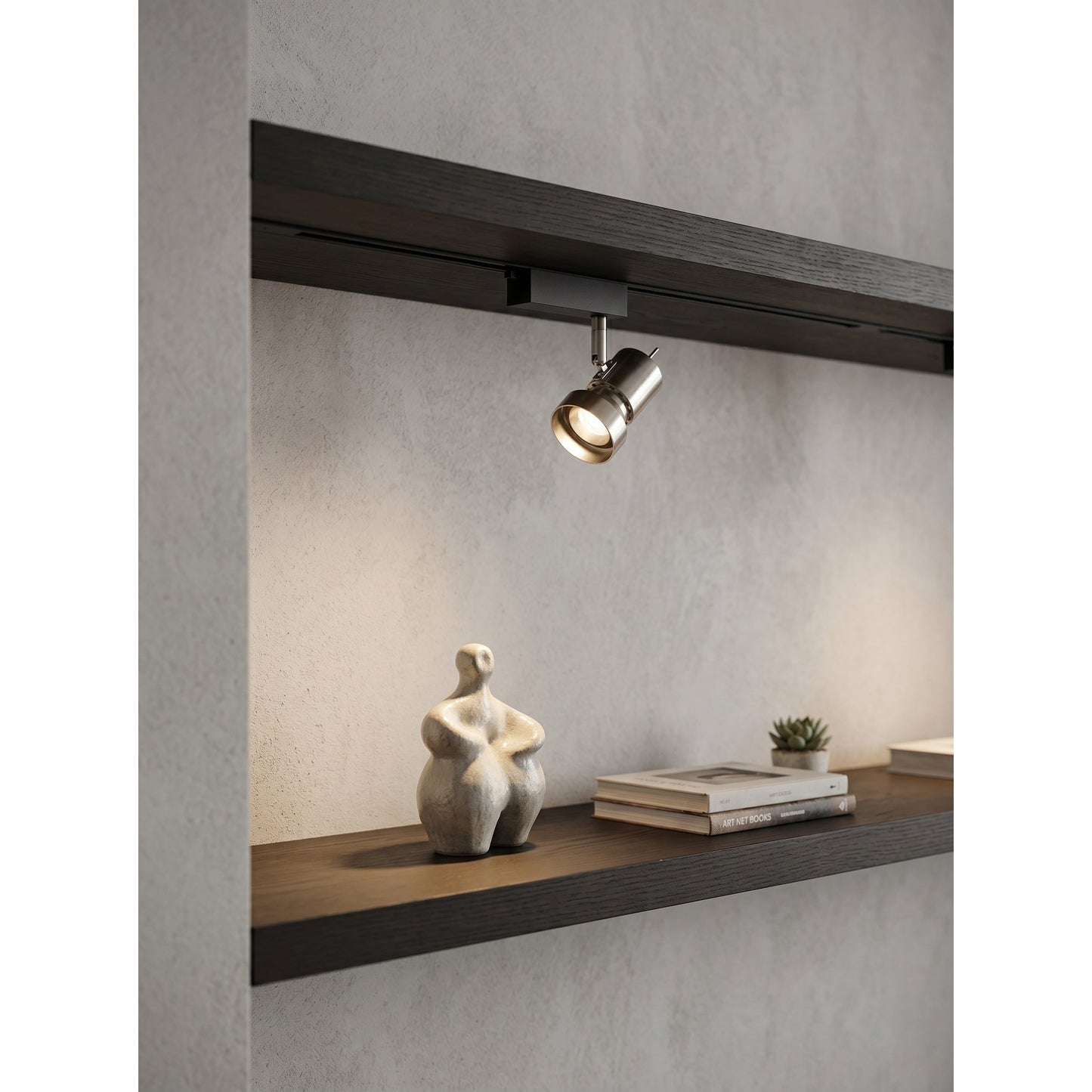 VidaLite Track Light