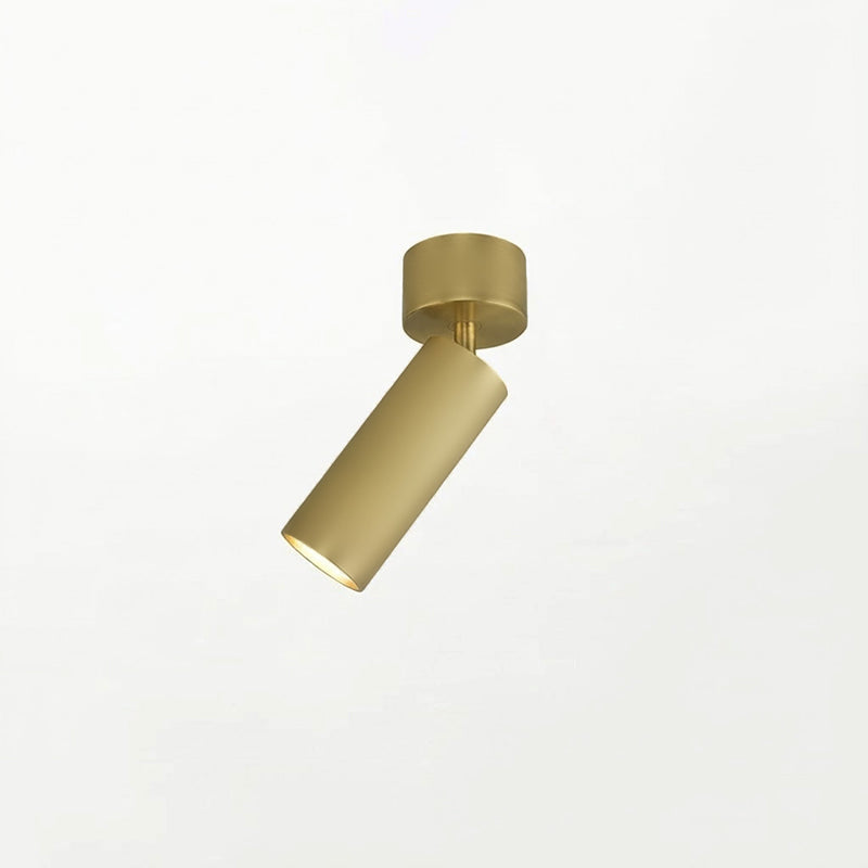 Stanly Ceiling Spotlight Lamp