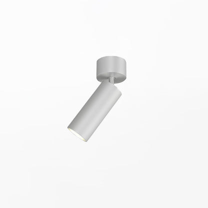Stanly Ceiling Spotlight Lamp